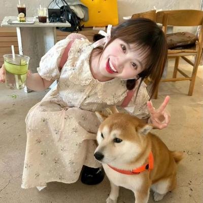 我在窗口遇见他